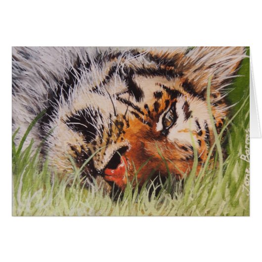 Resting Tiger Cards (Front Horizontal)