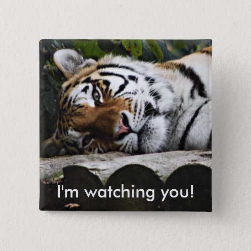 Resting Tiger Im watching you Button