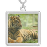 Resting Tiger  Necklace