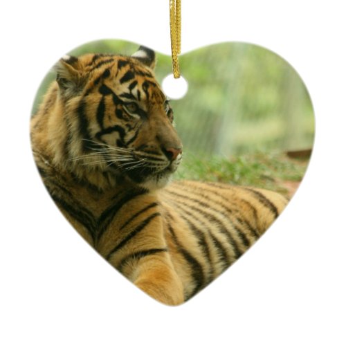 Resting Tiger  Ornament