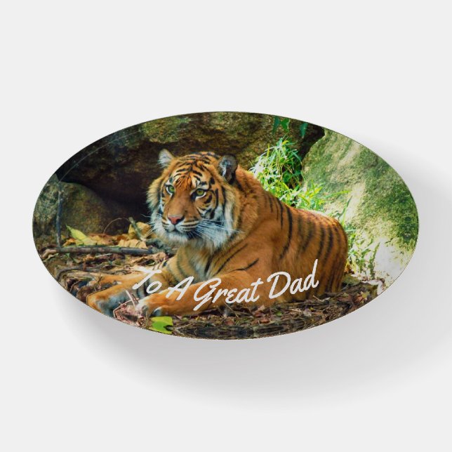 Resting Tiger Paperweight For Dad (Front)