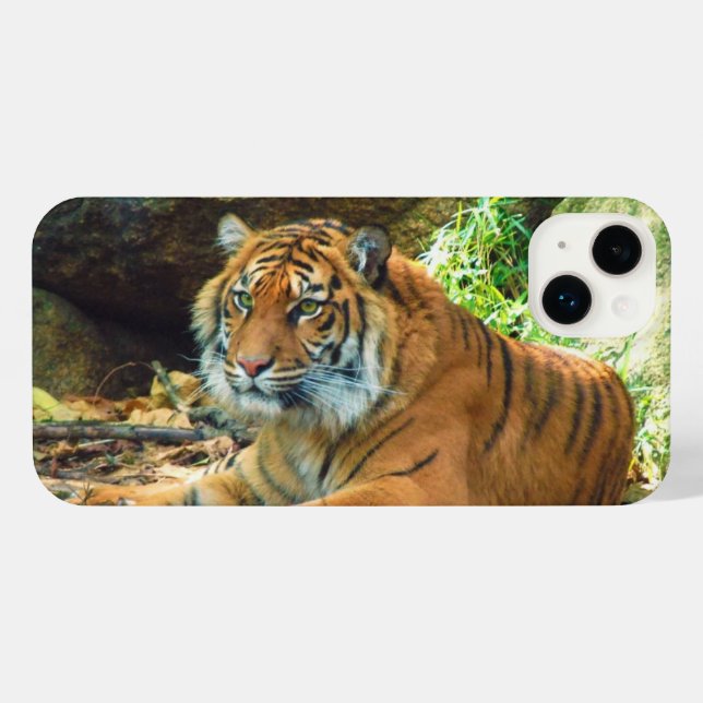 Resting Tiger Phone Case (Back Horizontal)