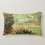 Resting Tiger Pillow