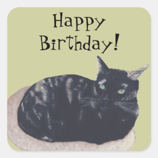 Resting Tortoise Shell Cat Happy Birthday Stickers