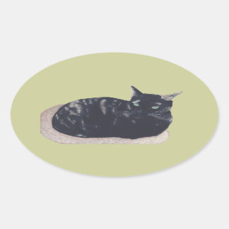 Resting Tortoise Shell Cat Oval Stickers