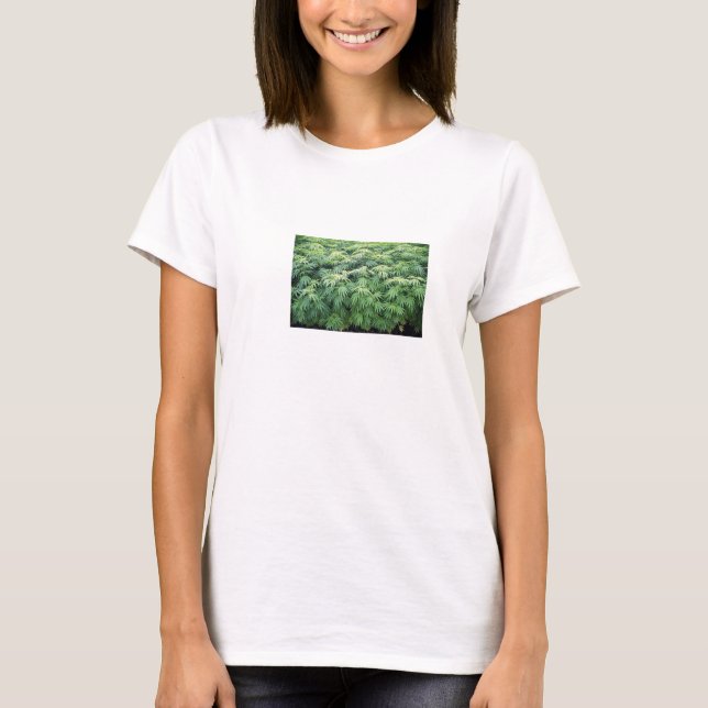 Restoration of Hemp T-Shirt (Front)