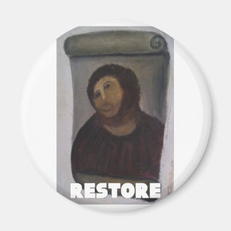 RESTORE 1 MAGNET