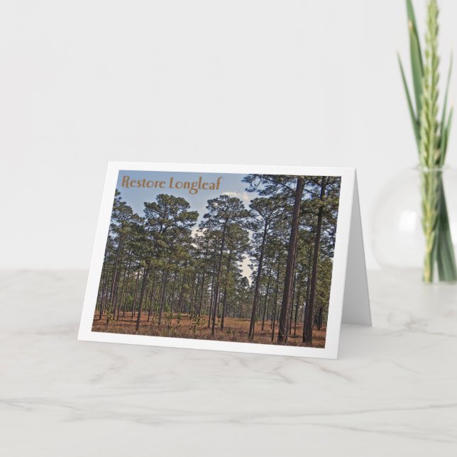 Restore Longleaf Card (Front)