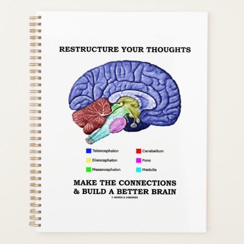 Restructure Your Thoughts Make The Connections Planner
