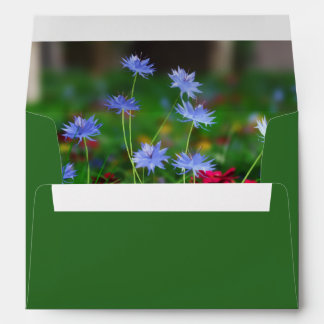 Resurgam Envelope