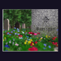 Resurgam Postcard