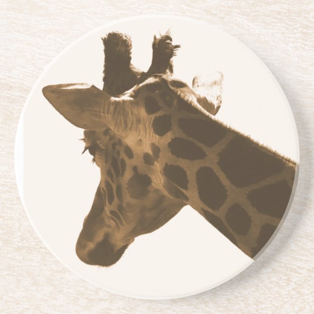 Reticulate Giraffe profile Drink Coaster (Front)
