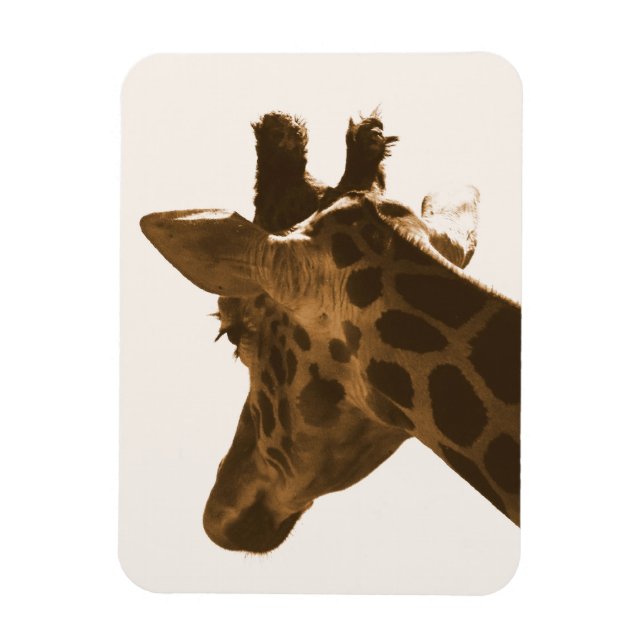Reticulate Giraffe profile Magnet (Vertical)