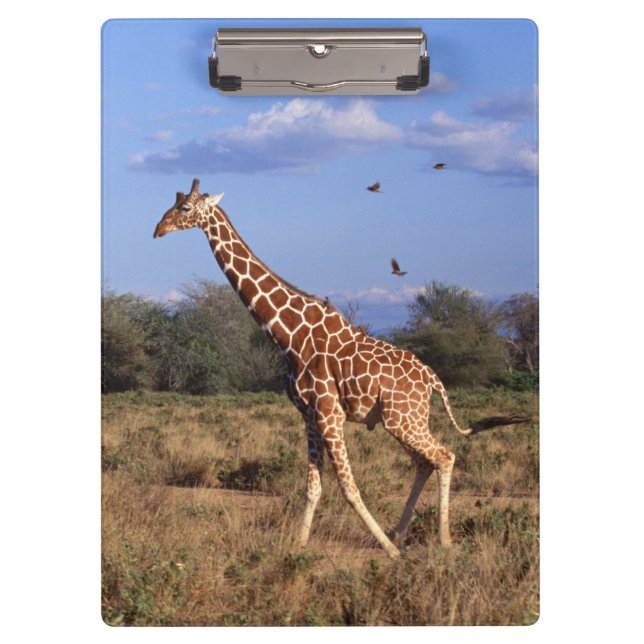 Reticulated Giraffe Clipboard (Front)