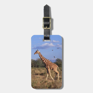 Reticulated Giraffe Luggage Tag