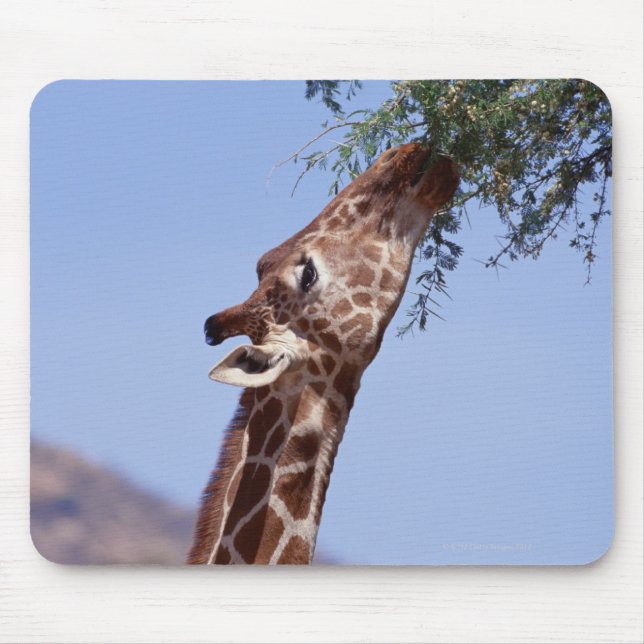 Reticulated Giraffe Mouse Pad (Front)