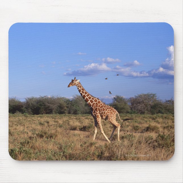 Reticulated Giraffe Mouse Pad (Front)