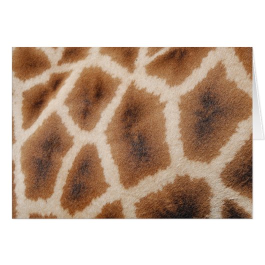 Reticulated Giraffe Pattern Wild Animal Print Gift Cards (Front Horizontal)