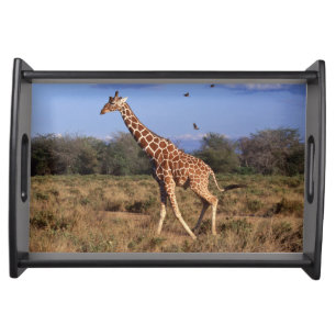 Reticulated Giraffe Serving Tray