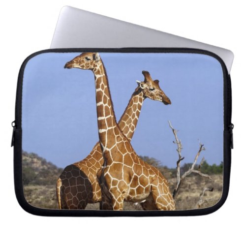 Reticulated Giraffes Giraffe camelopardalis 3 Laptop Sleeve