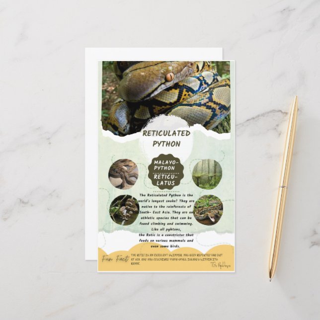 Reticulated Python Care Sheet (Front/Back In Situ)