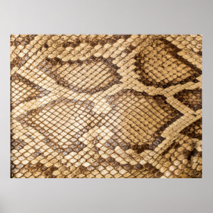 Reticulated python skinpython,skin,snake,reticulat poster