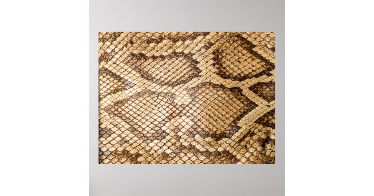Reticulated python skinpython,skin,snake,reticulat poster | Zazzle