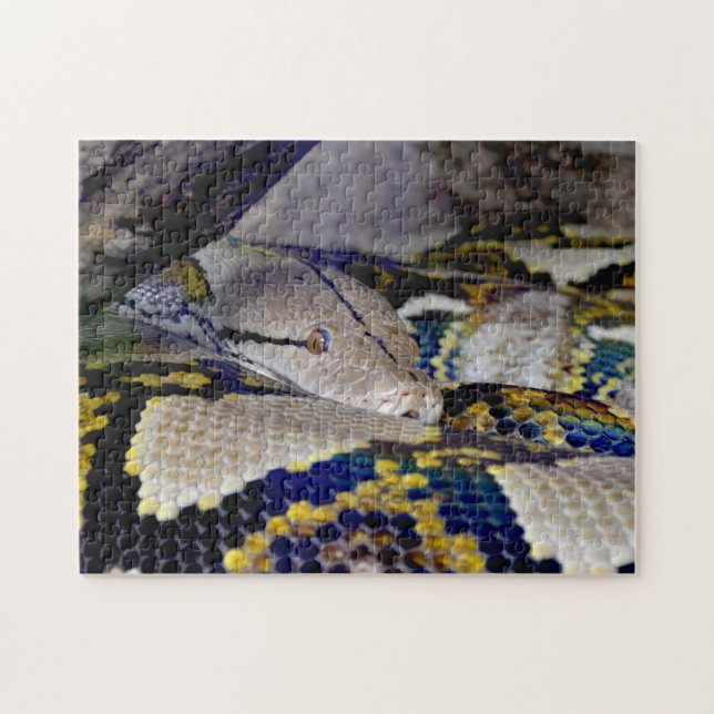 Reticulated Python Snake Jigsaw Puzzle (Horizontal)
