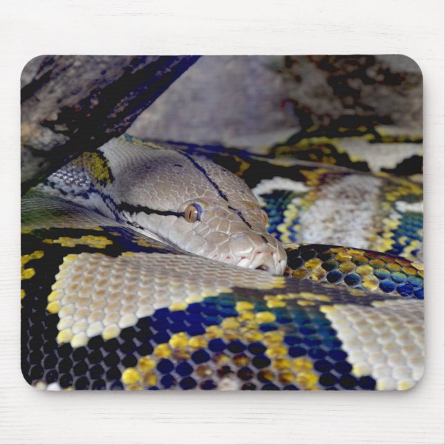 Reticulated Python Snake Mouse Pad (Front)