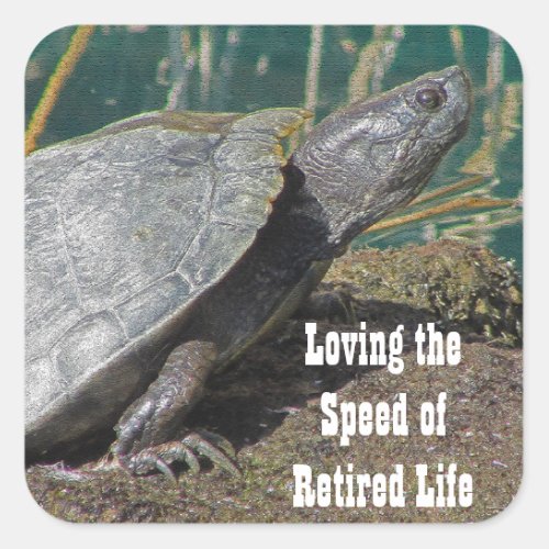 Retired Humor Basking Turtle Photo Lake Animal Square Sticker