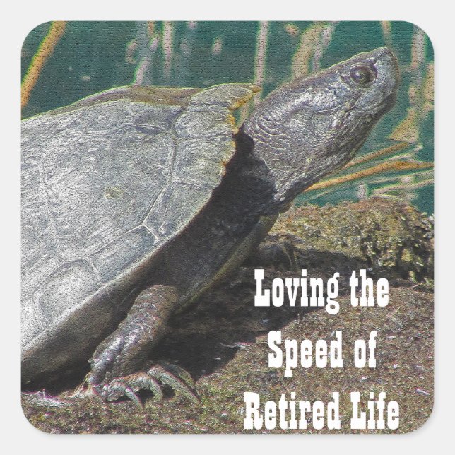 Retired Humor Basking Turtle Photo Lake Animal Square Sticker (Front)