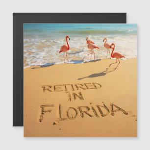 Retired in Florida Flamingos on Tropical Beach