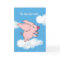 Retirement Announcement, Flying Pig in the Sky