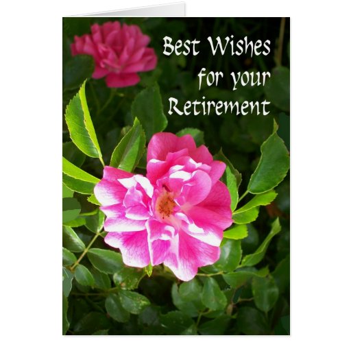 Retirement Best Wishes Card - Pink Roses | Zazzle