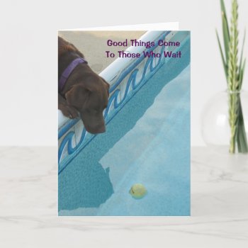 Retirement Card For Dog Lovers by Sidelinedesigns at Zazzle