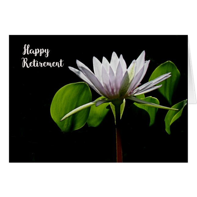 Retirement Card with White Water Lily (Front Horizontal)
