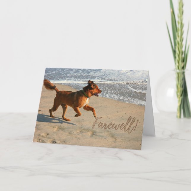 Retirement Farewell Running Dog on the Beach Card (Front)