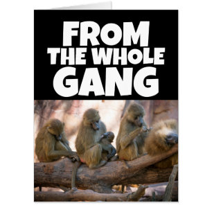 RETIREMENT FROM US ALL MONKEY BIG giant CARD