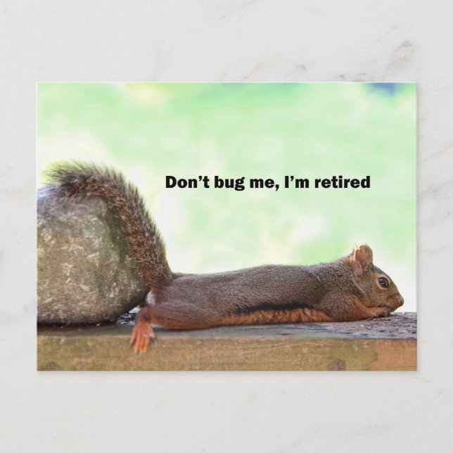 Retirement Humor Squirrel Postcard (Front)