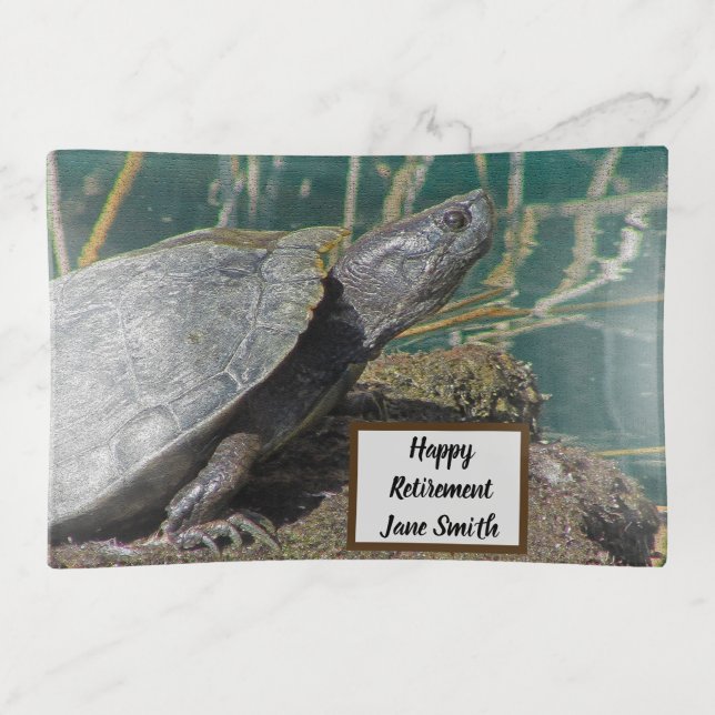 Retirement Momento Turtle Photo Business Co-worker Trinket Tray (Front)