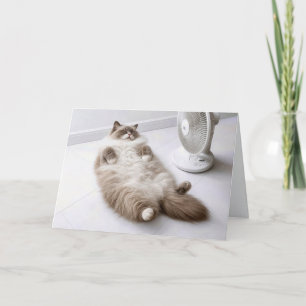 Retirement Ragdoll Cat Cooling Off by a Fan Card