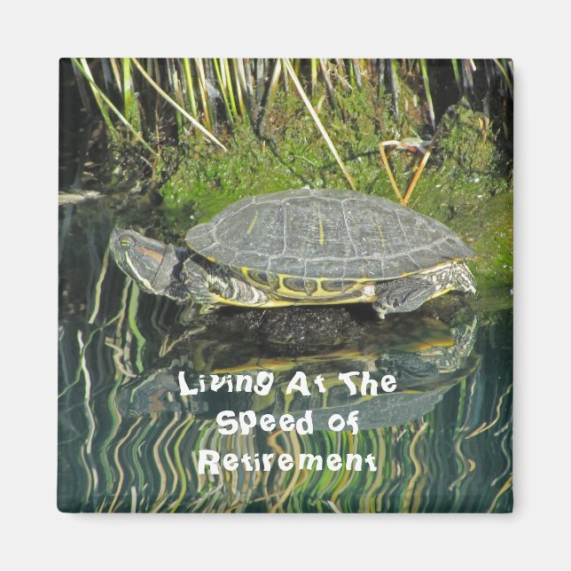 Retirement Turtle Photo with Reflection Nature Magnet (Front)