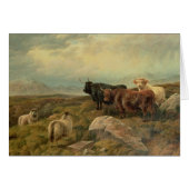 Retribution (Front Horizontal)