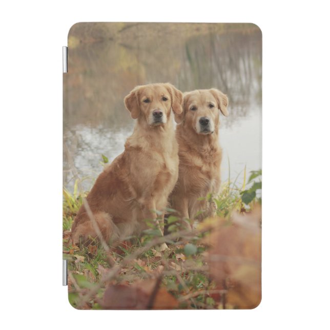Retriever Buddies iPad Mini Cover (Front)