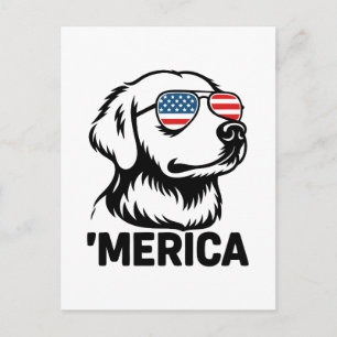 Retriever Dog 4th Of July Merica Holiday Postcard