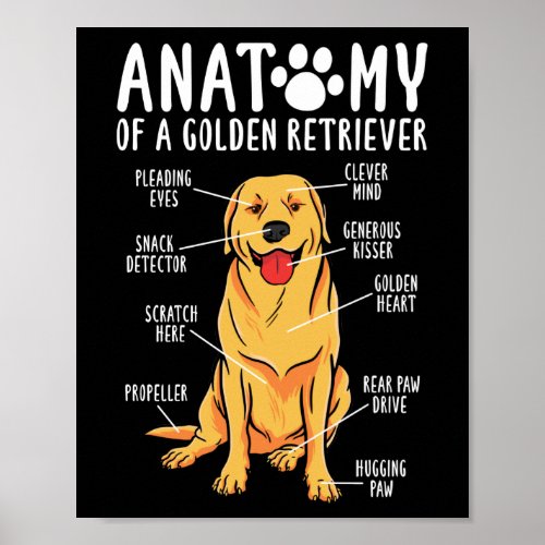 Retriever Dogs Anatomy of a Golden Retriever Mom Poster