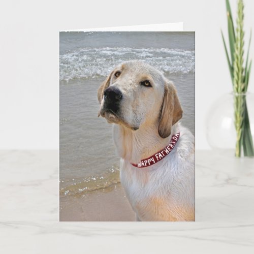 Retriever for Fathers Day Card