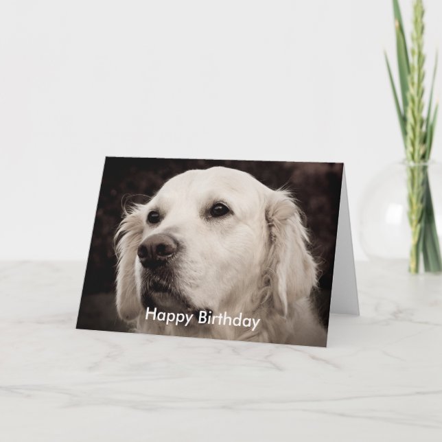 Retriever - Golden Card (Front)