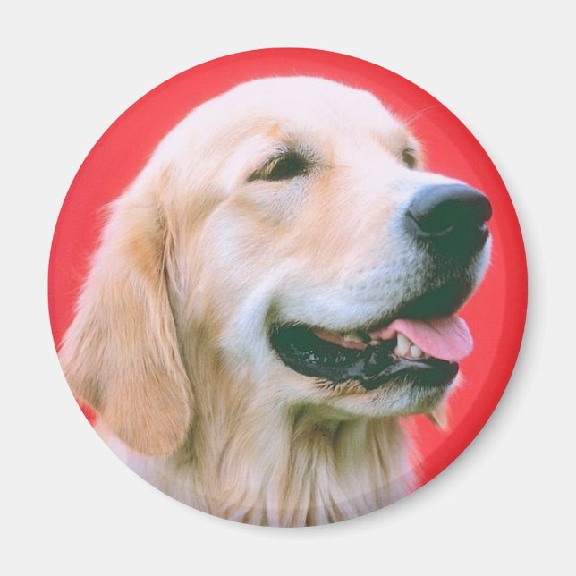 Retriever Panting Magnet (Front)