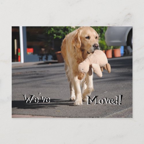 Retriever with stuff duck Weve Moved New Address Announcement Postcard